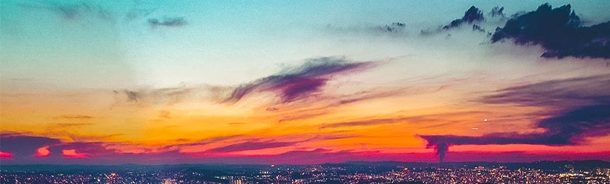 黔南茶虫网_黔南品茶